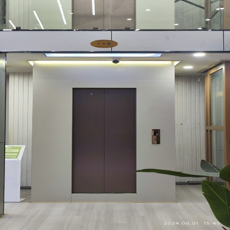 ลิฟต์บ้านแบบไร้หลุม Panoramic | โครงอะลูมิเนียมน้ำหนักเบา