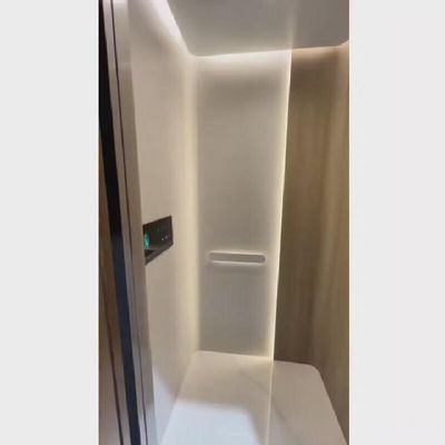 220V AC Screw Drive Home Elevator พร้อมประตูเลื่อนอัตโนมัติและความจุ 400 กิโลกรัม